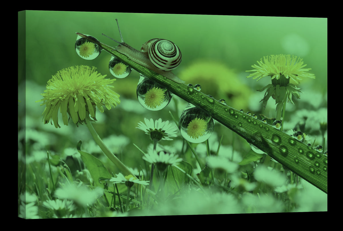 Animals No. 091, glowing at night