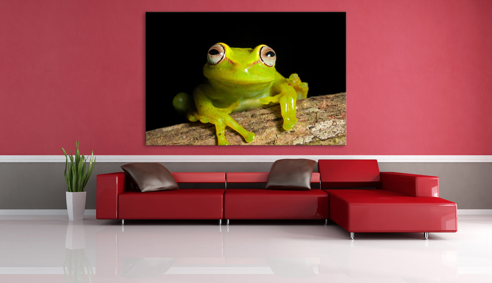Animals No. 095, shown framed in a room by day