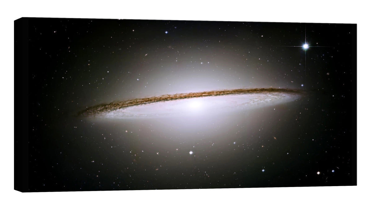 Cosmos No. 055, by day