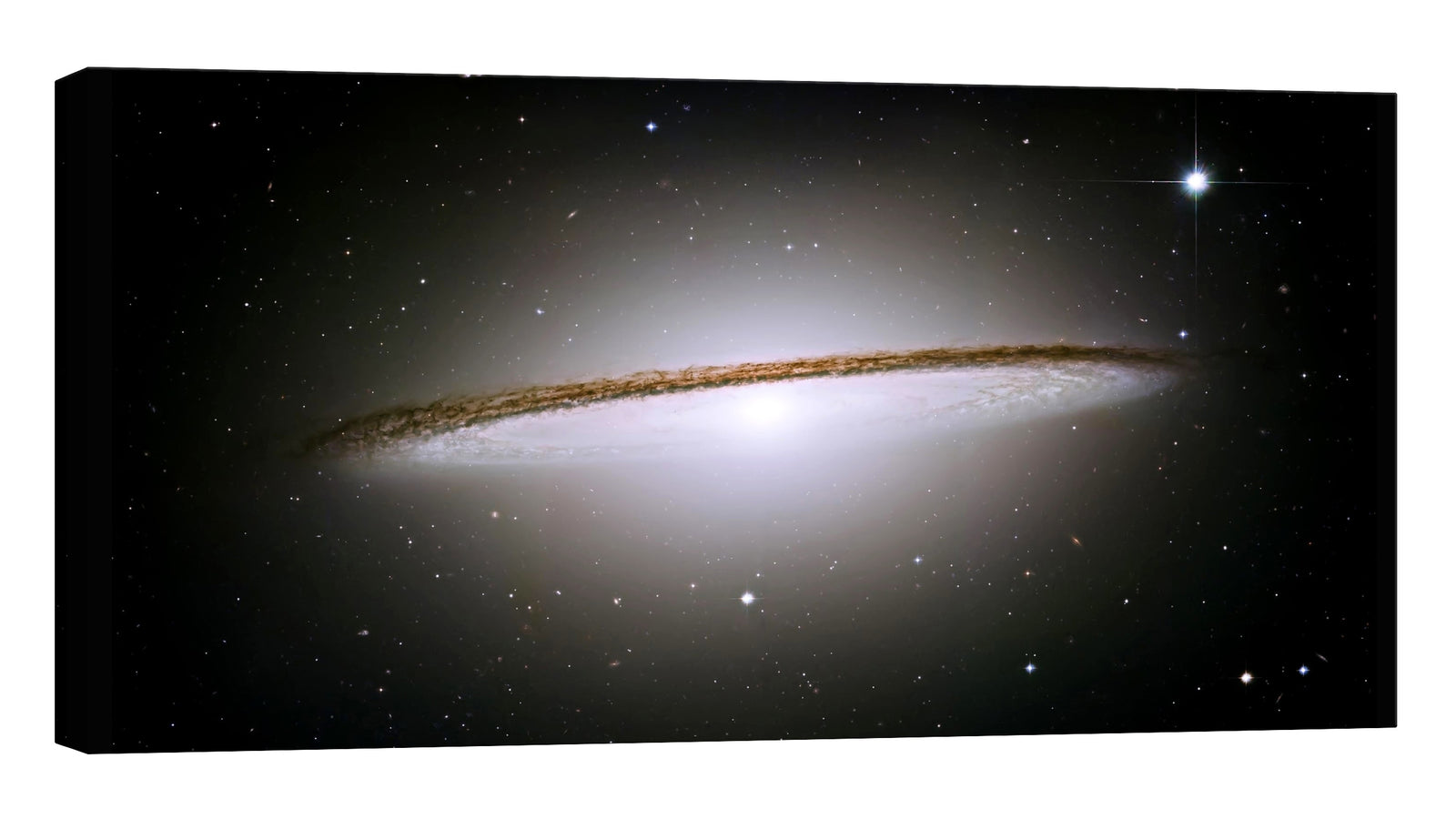Cosmos No. 055, by day