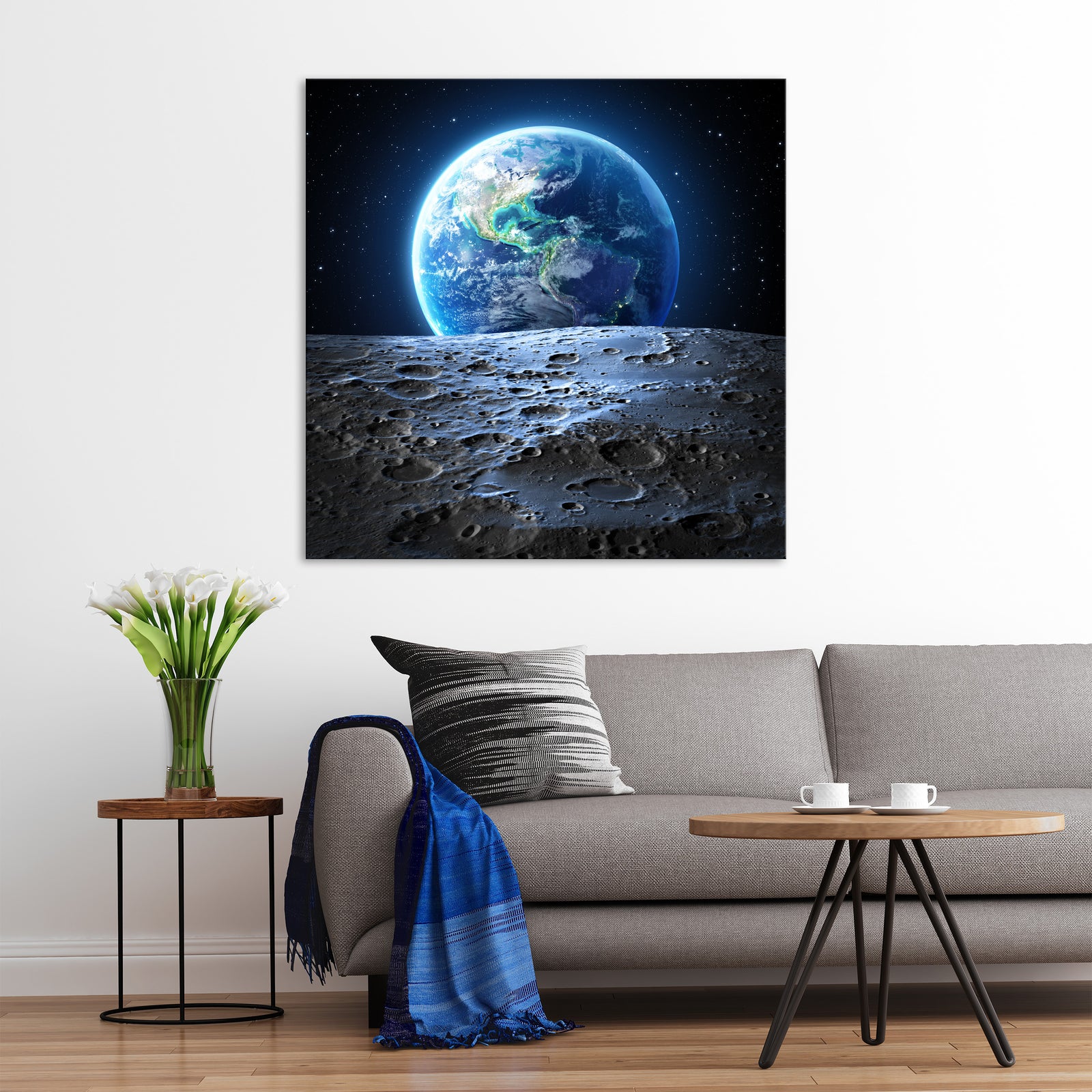 Cosmos No. 059, shown framed in a room by day