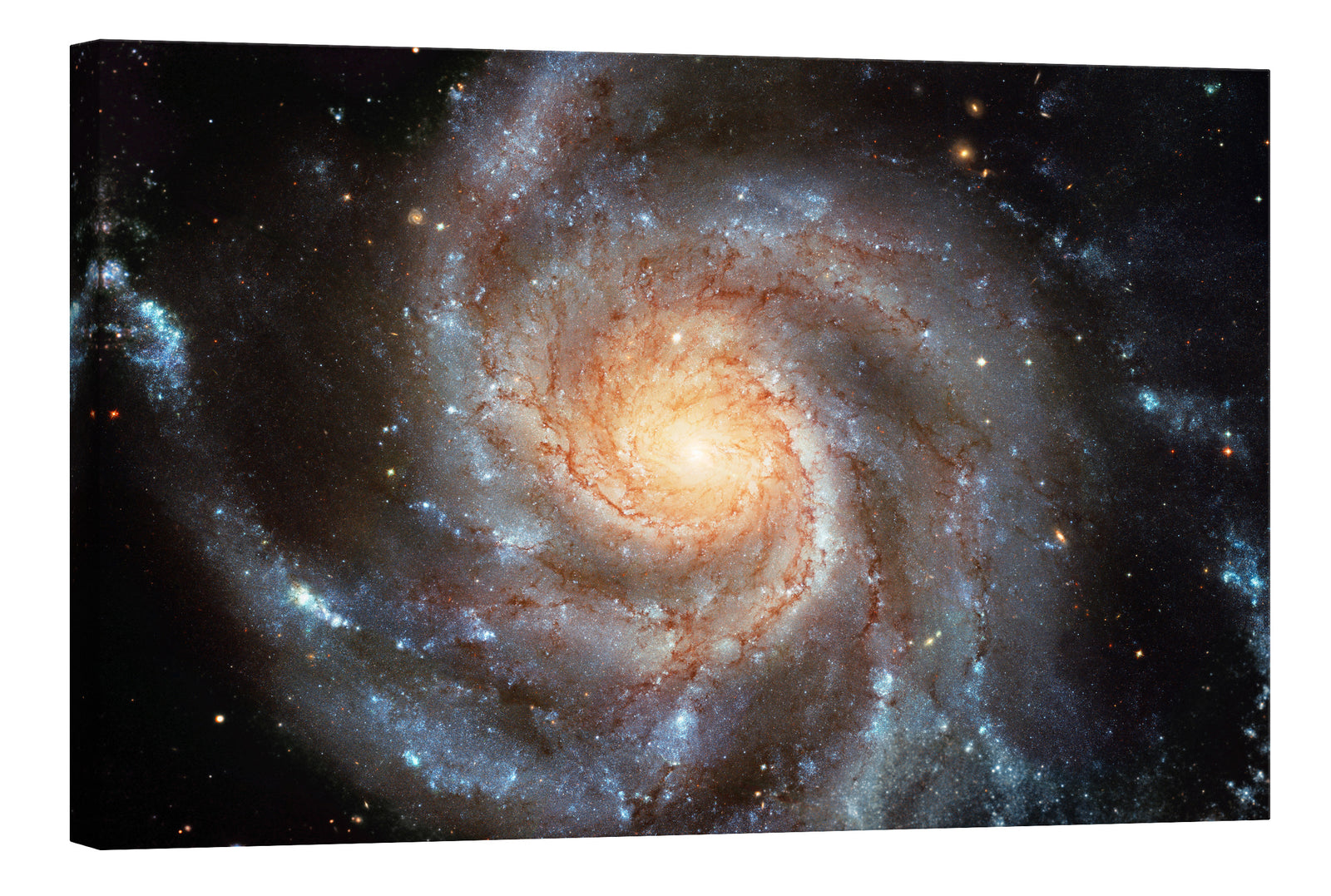 Cosmos No. 068, by day