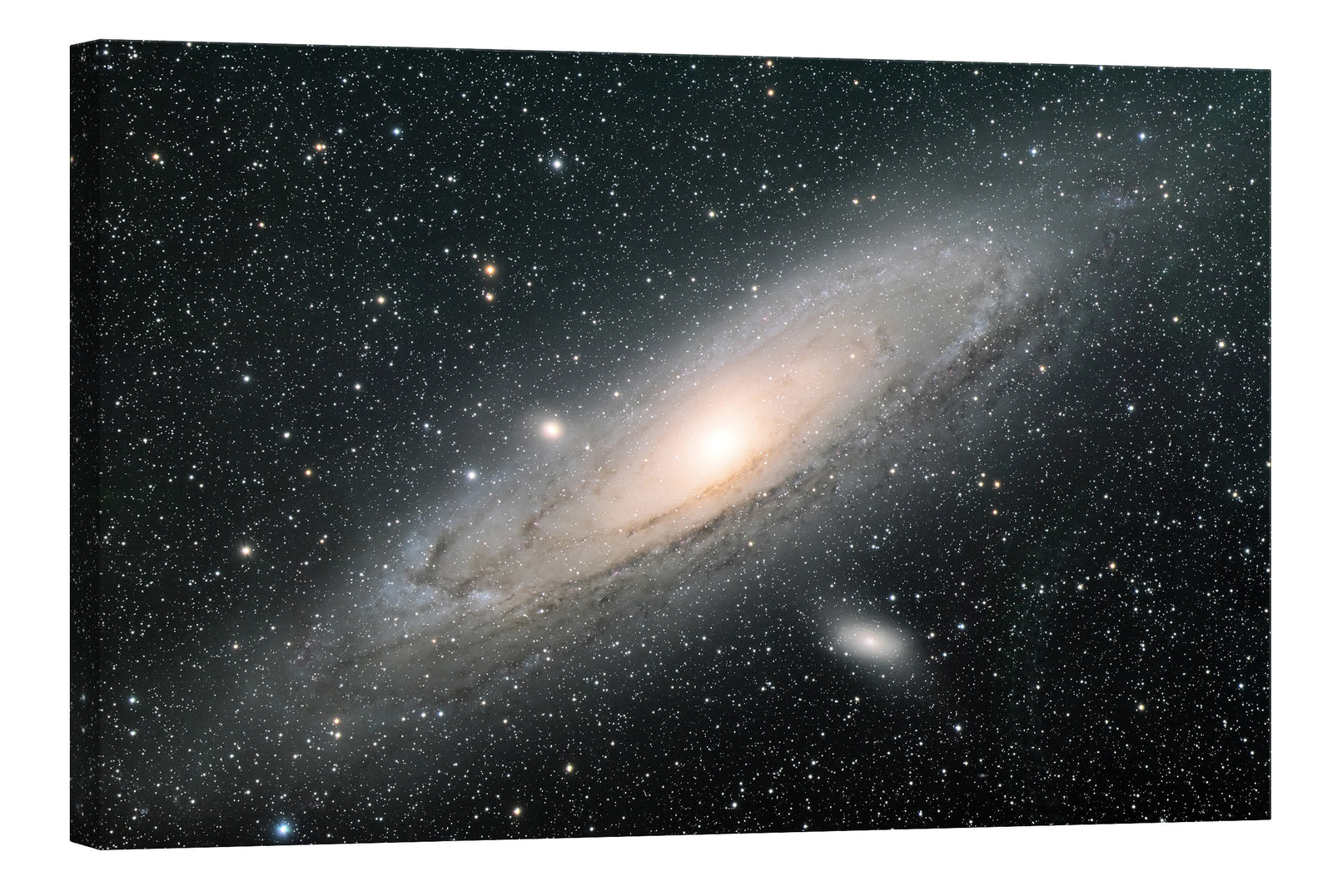 Cosmos No. 072, by day