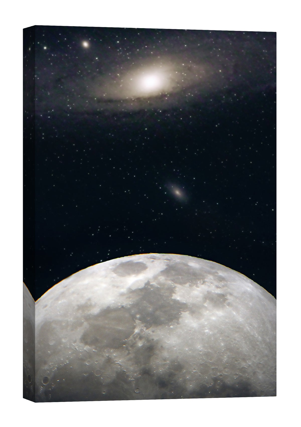 Cosmos No. 095, by day