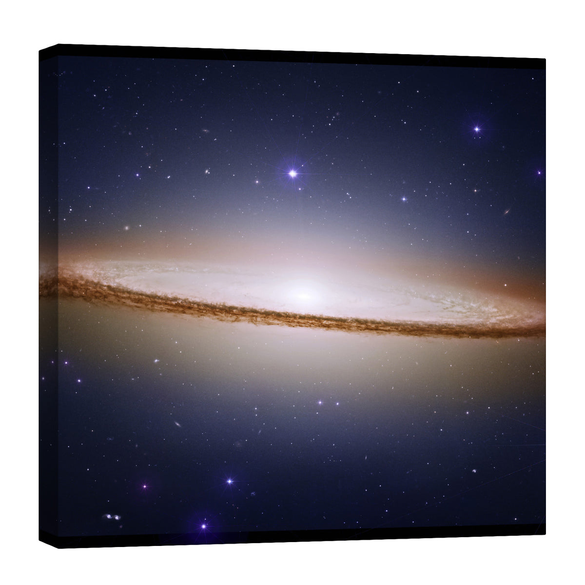Cosmos No. 099, by day