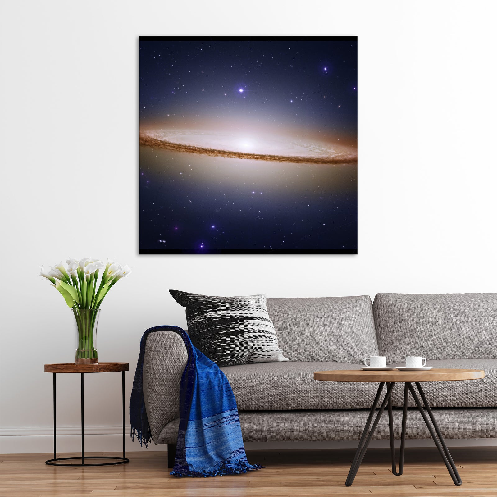 Cosmos No. 099, shown framed in a room by day