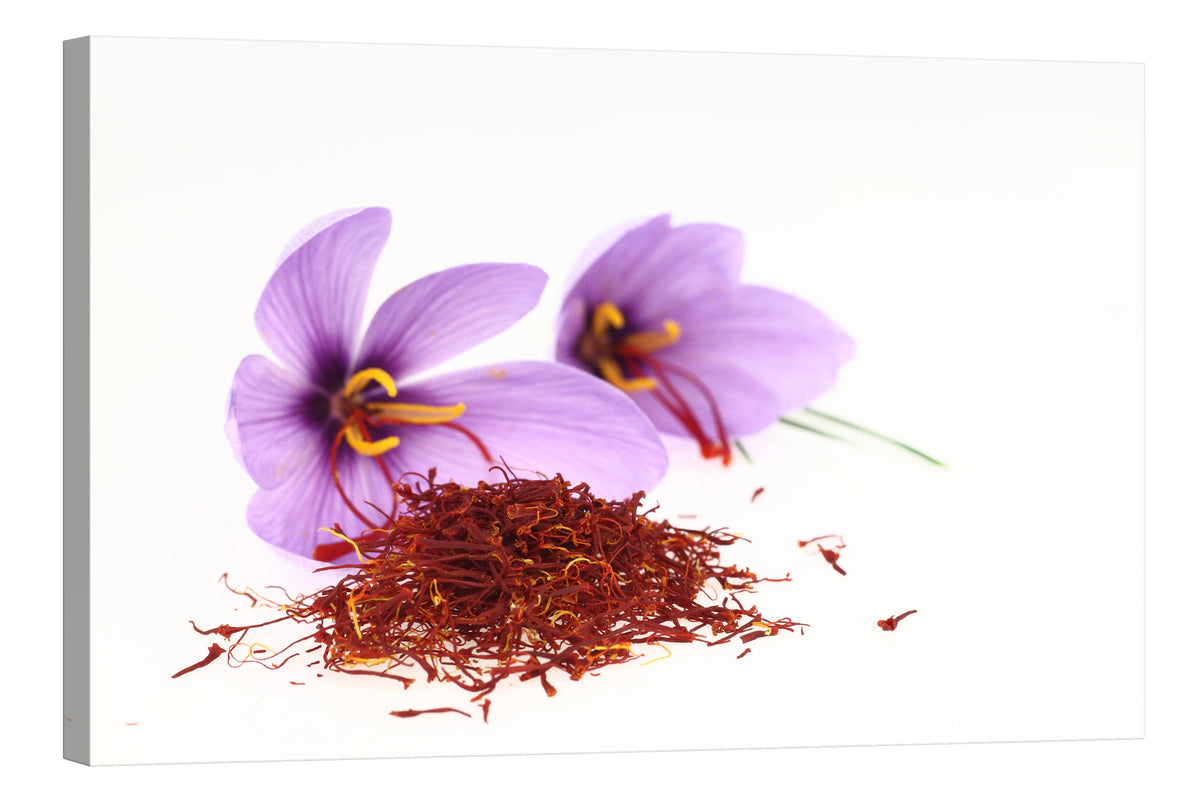 Flowers No. 001, by day