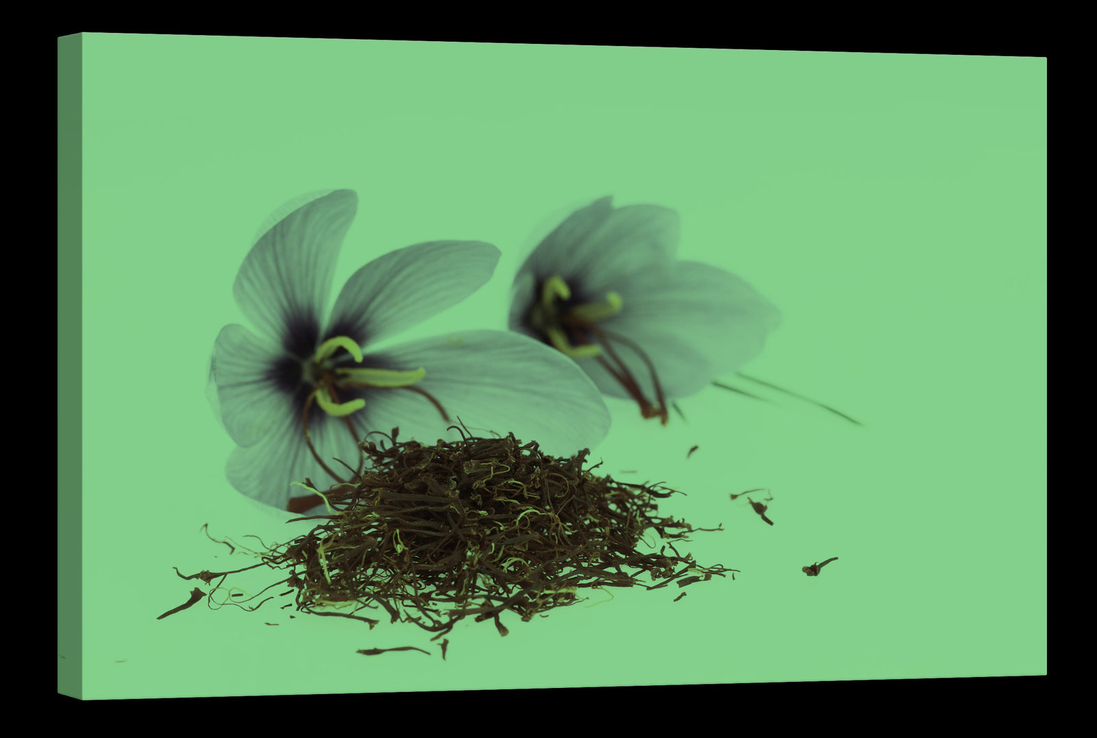 Flowers No. 001, glowing at night
