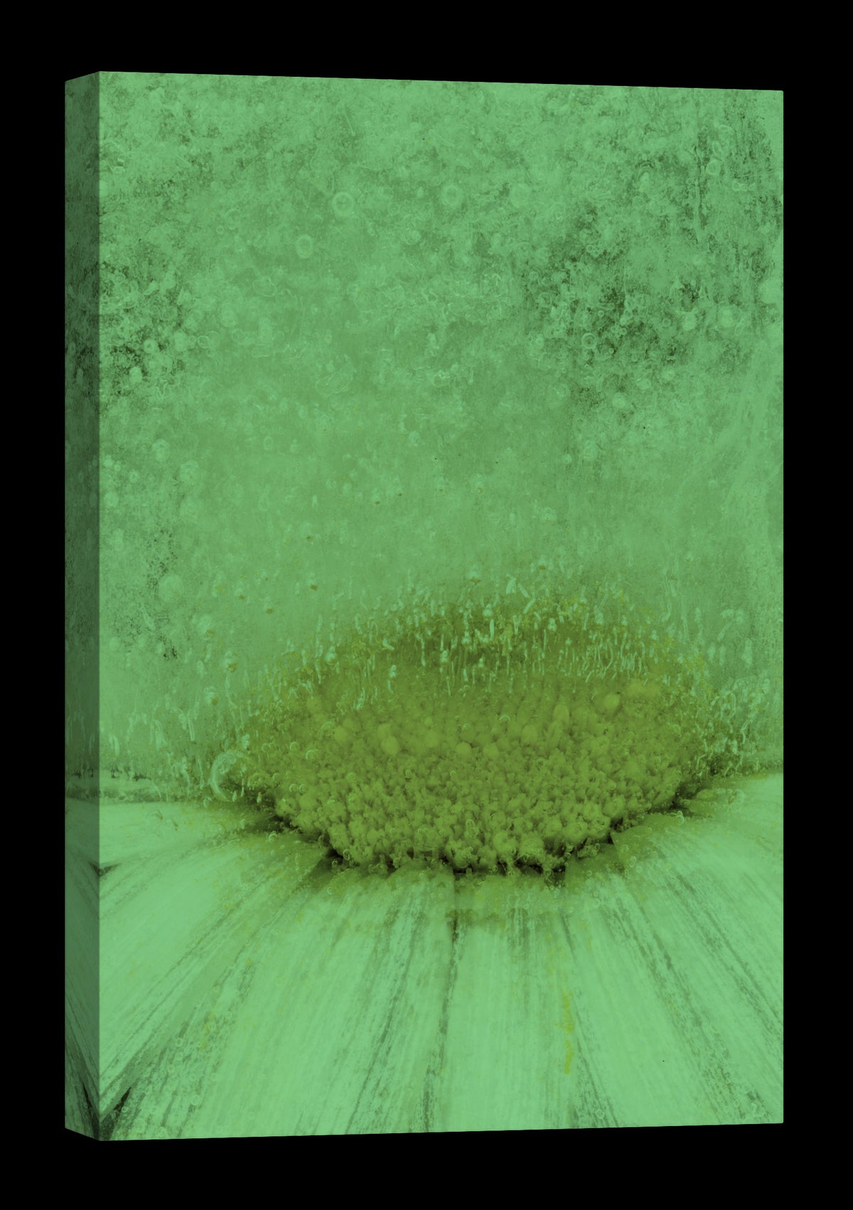 Flowers No. 003, glowing at night
