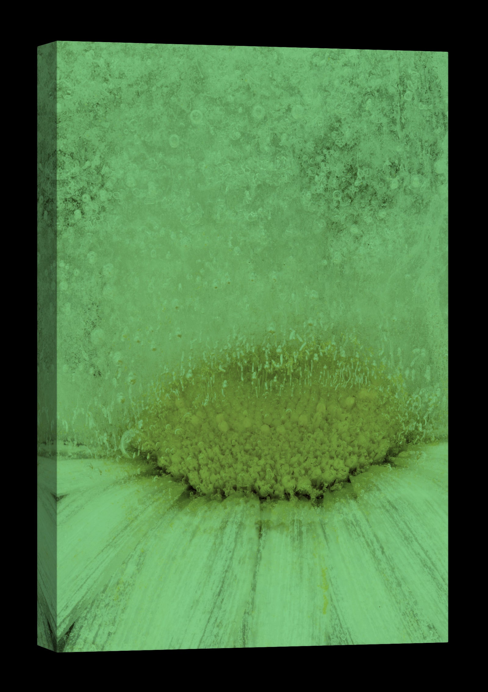 Flowers No. 003, glowing at night