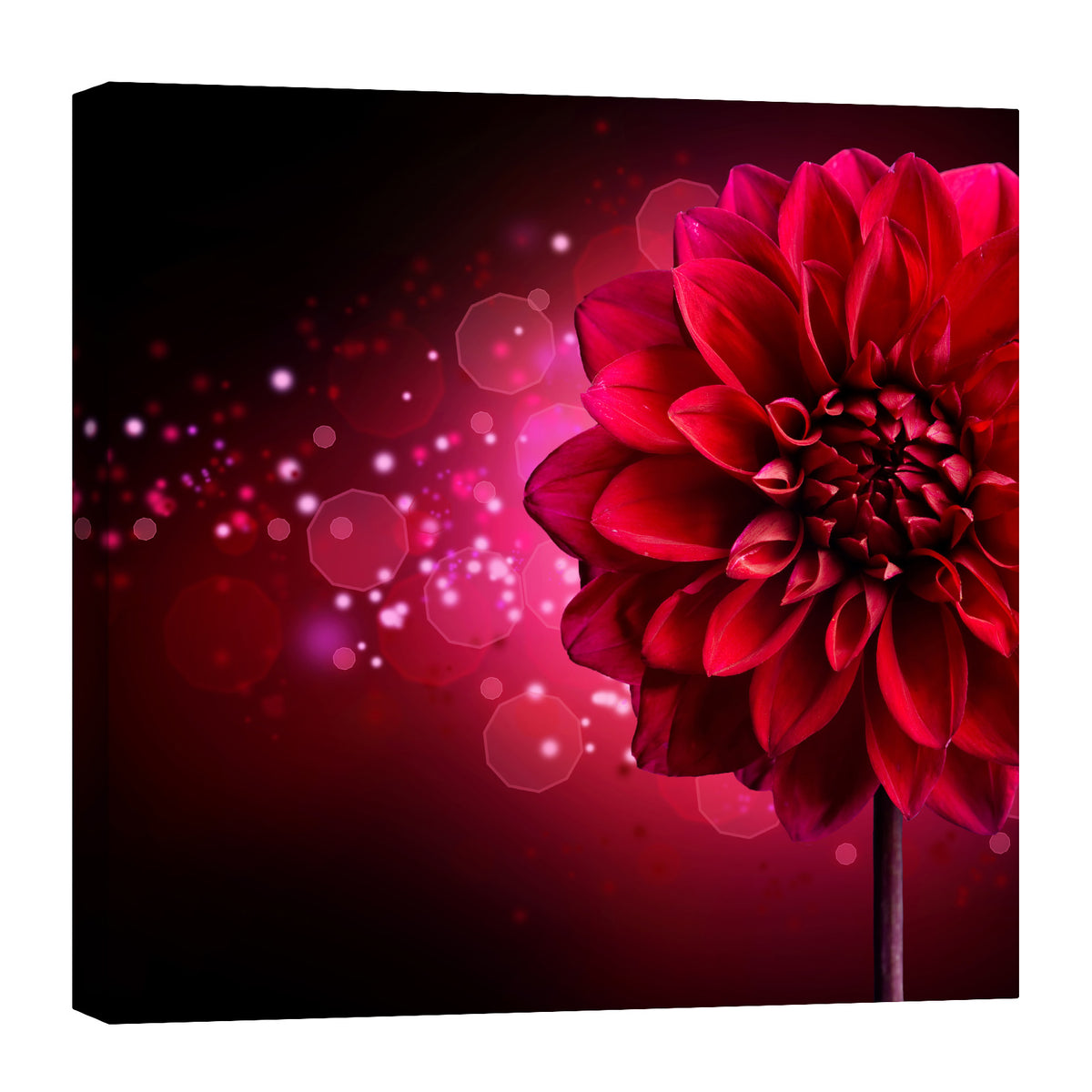 Flowers No. 004, by day