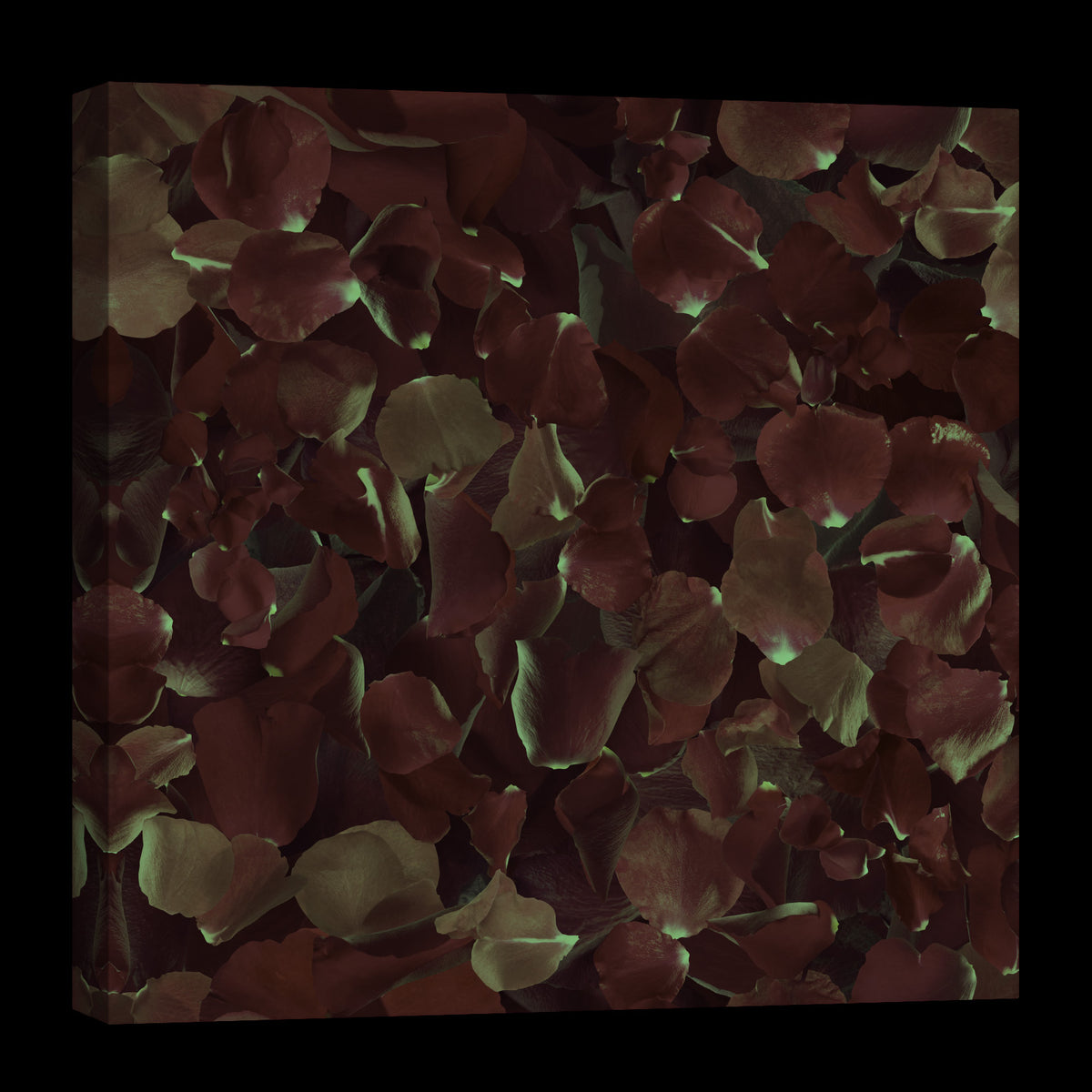Flowers No. 006, glowing at night