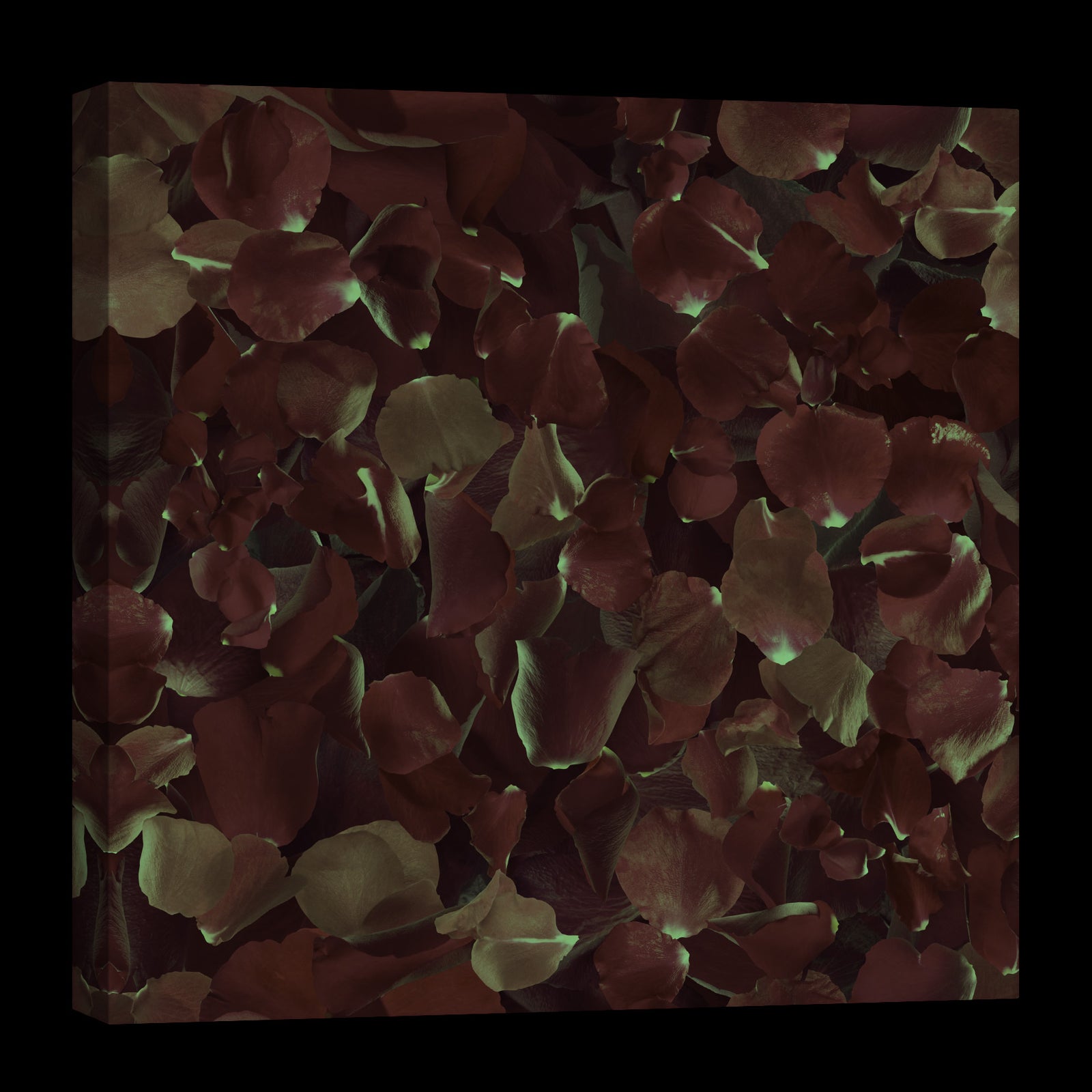 Flowers No. 006, glowing at night
