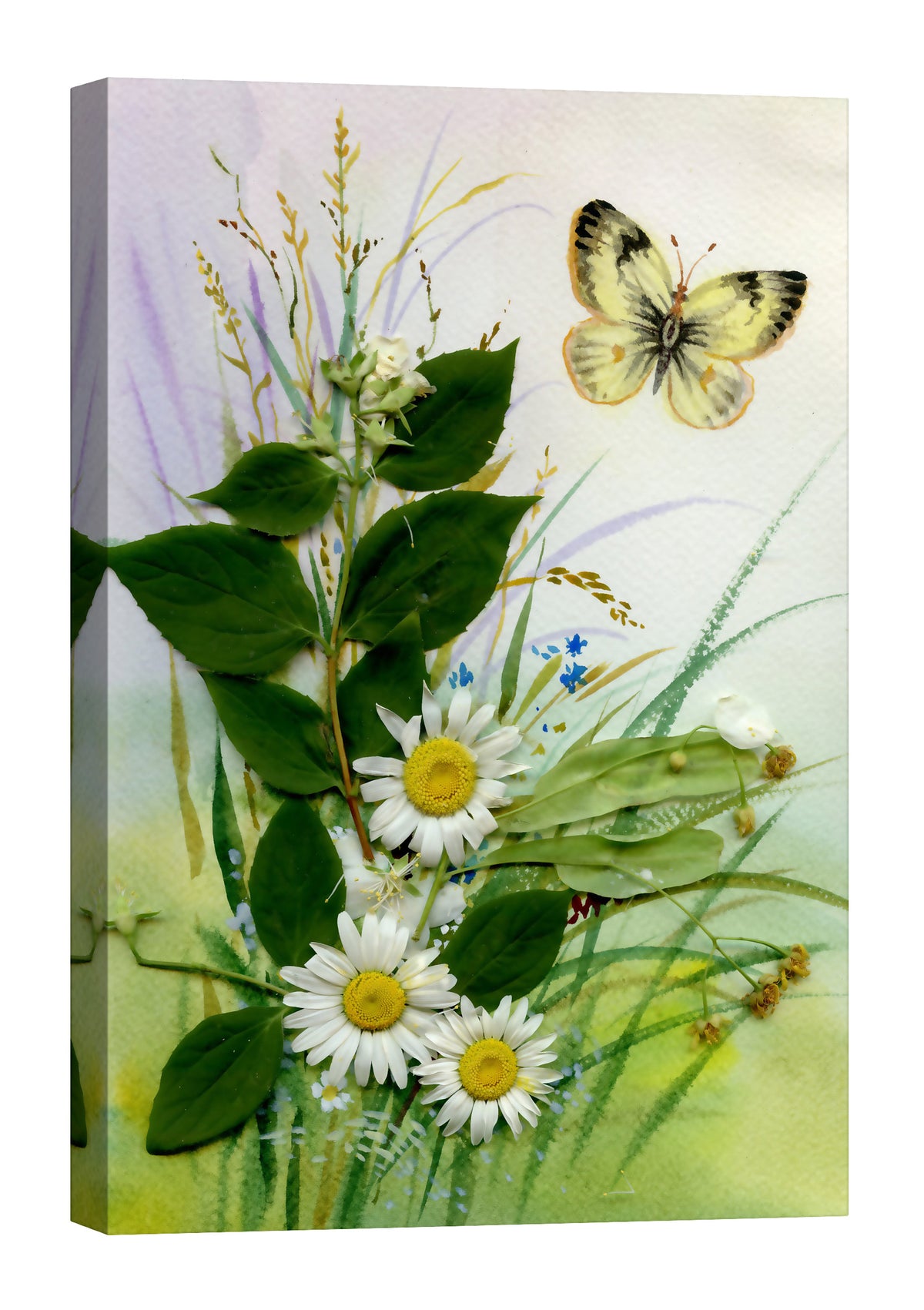 Flowers No. 007, by day