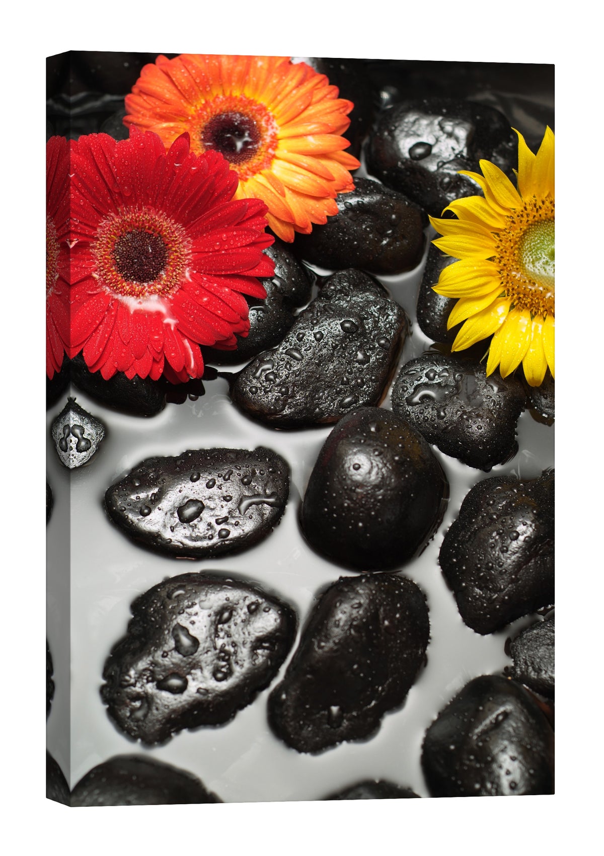 Flowers No. 008, by day