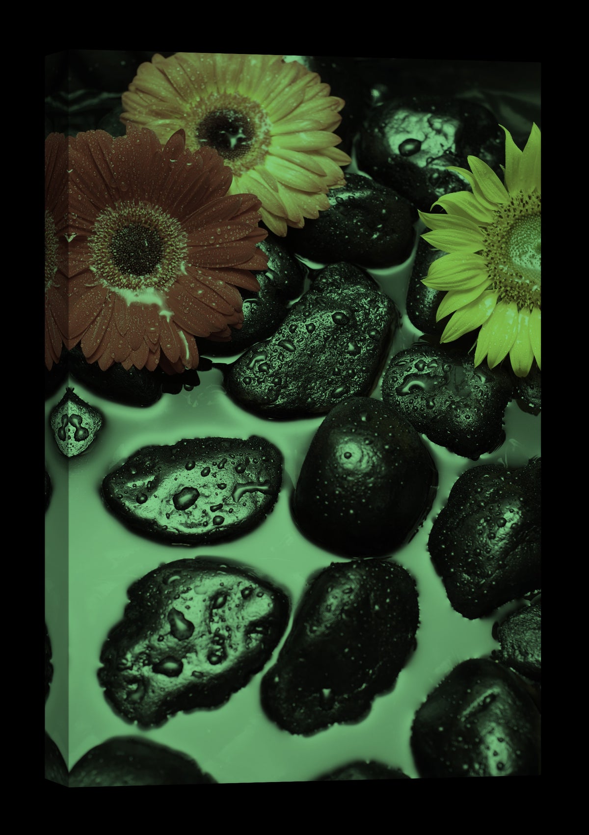 Flowers No. 008, glowing at night
