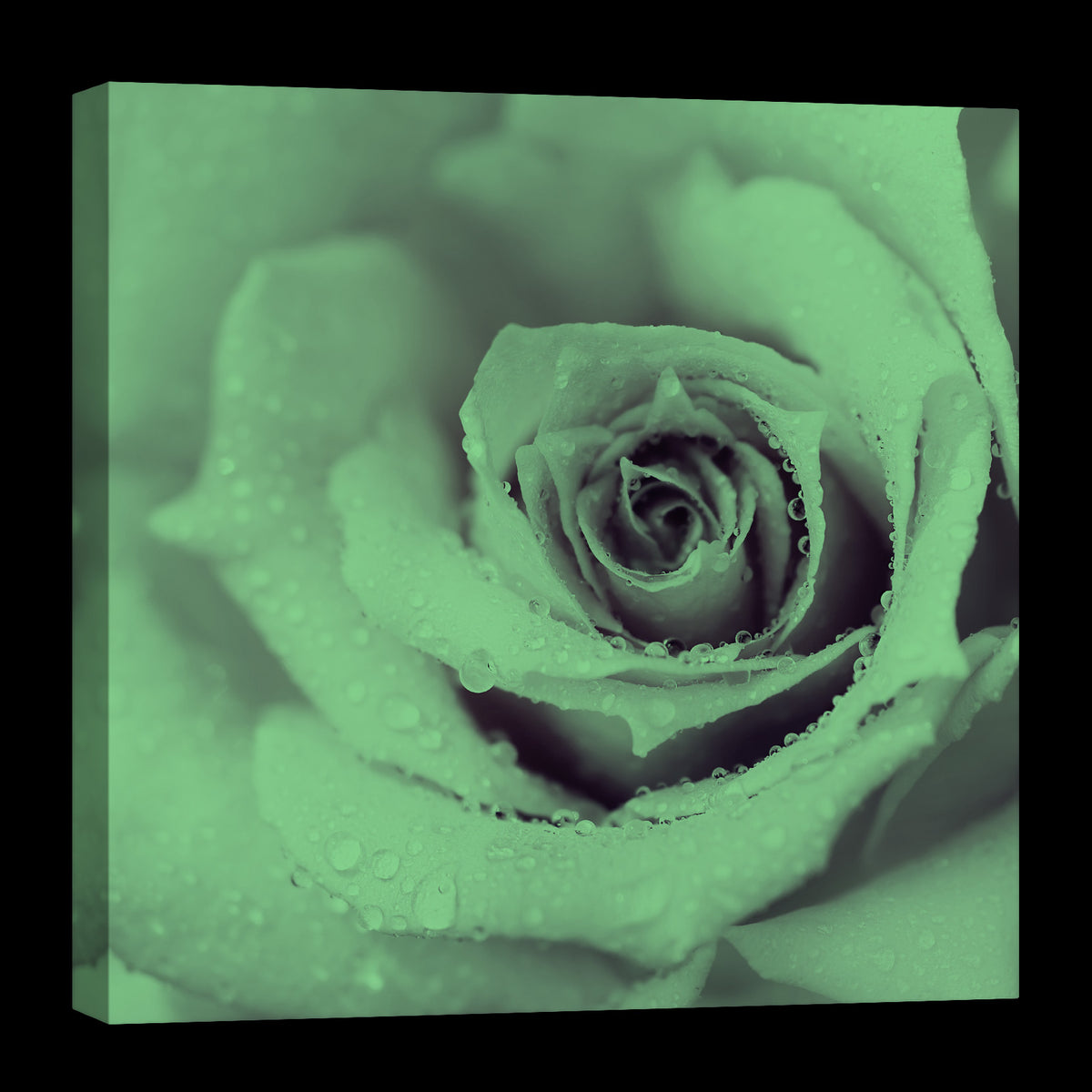 Flowers No. 021, glowing at night