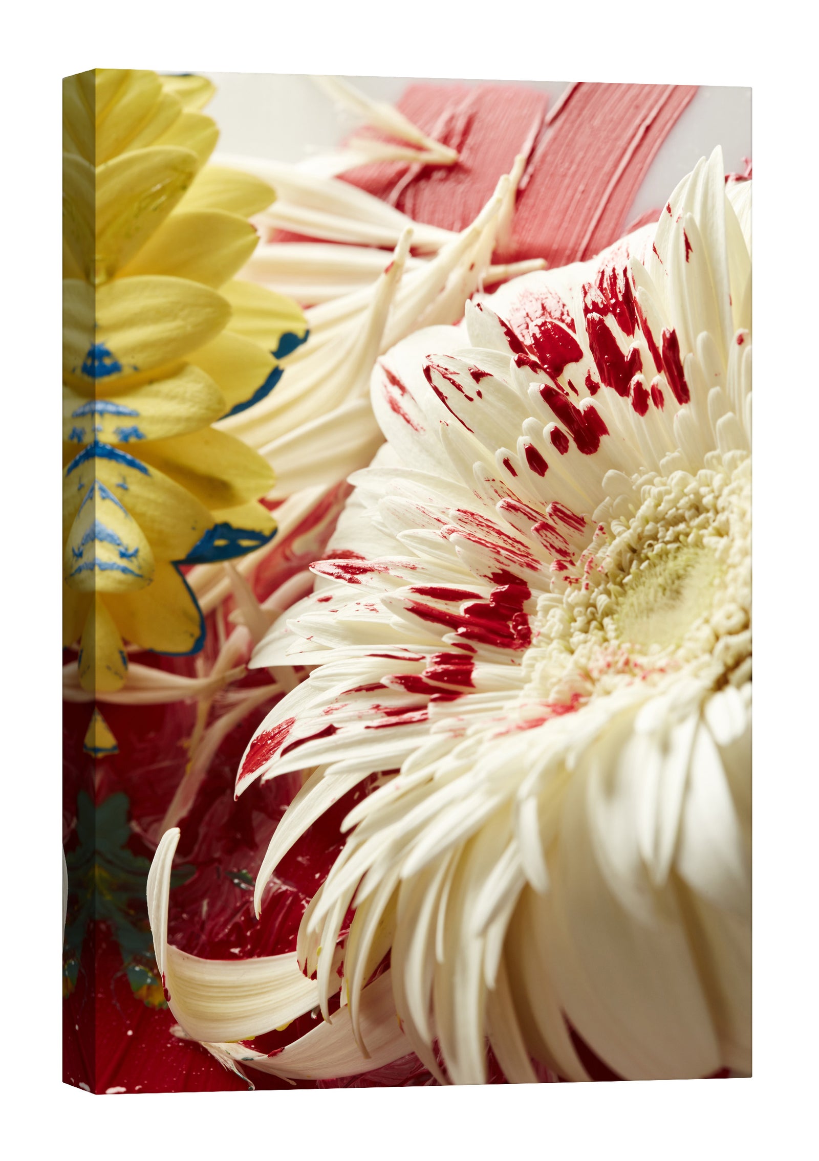 Flowers No. 024, by day