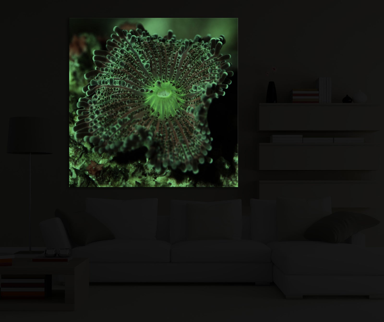 Flowers No. 028, glowing in a room at night