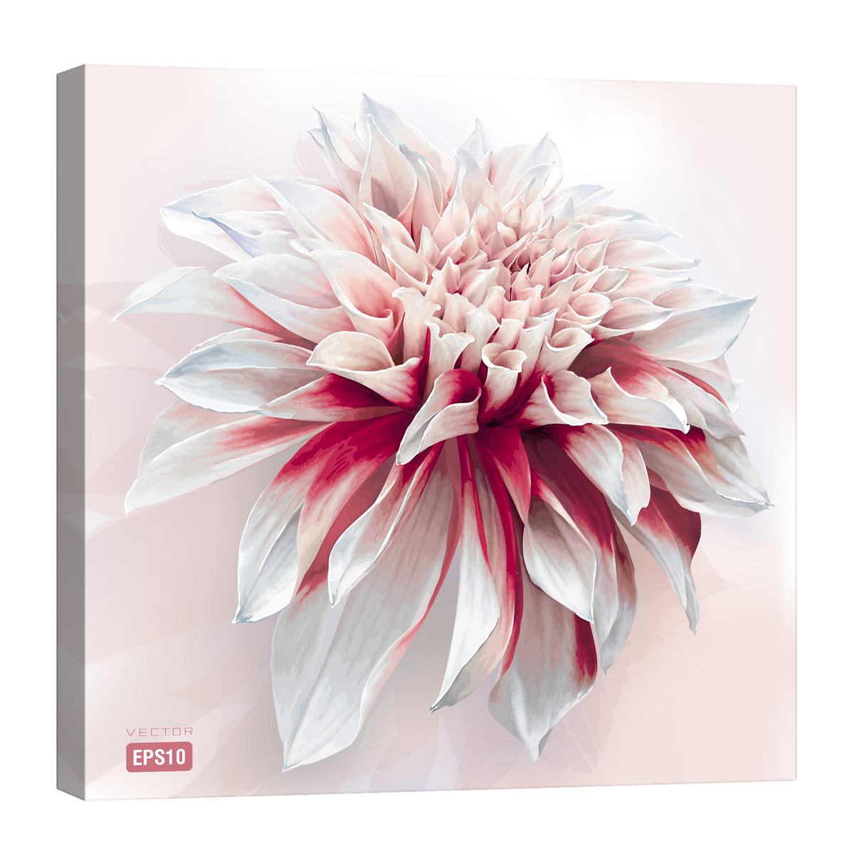Flowers No. 040, by day