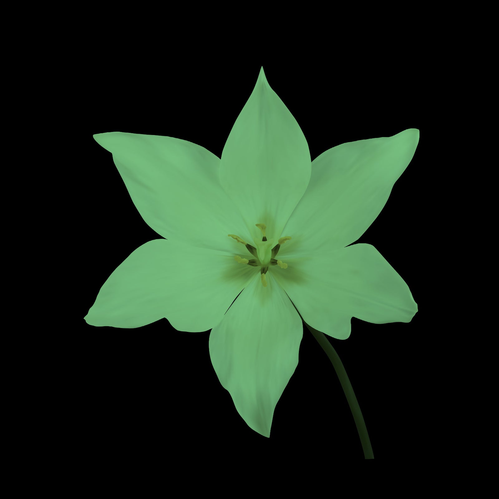Flowers No. 042, glowing at night