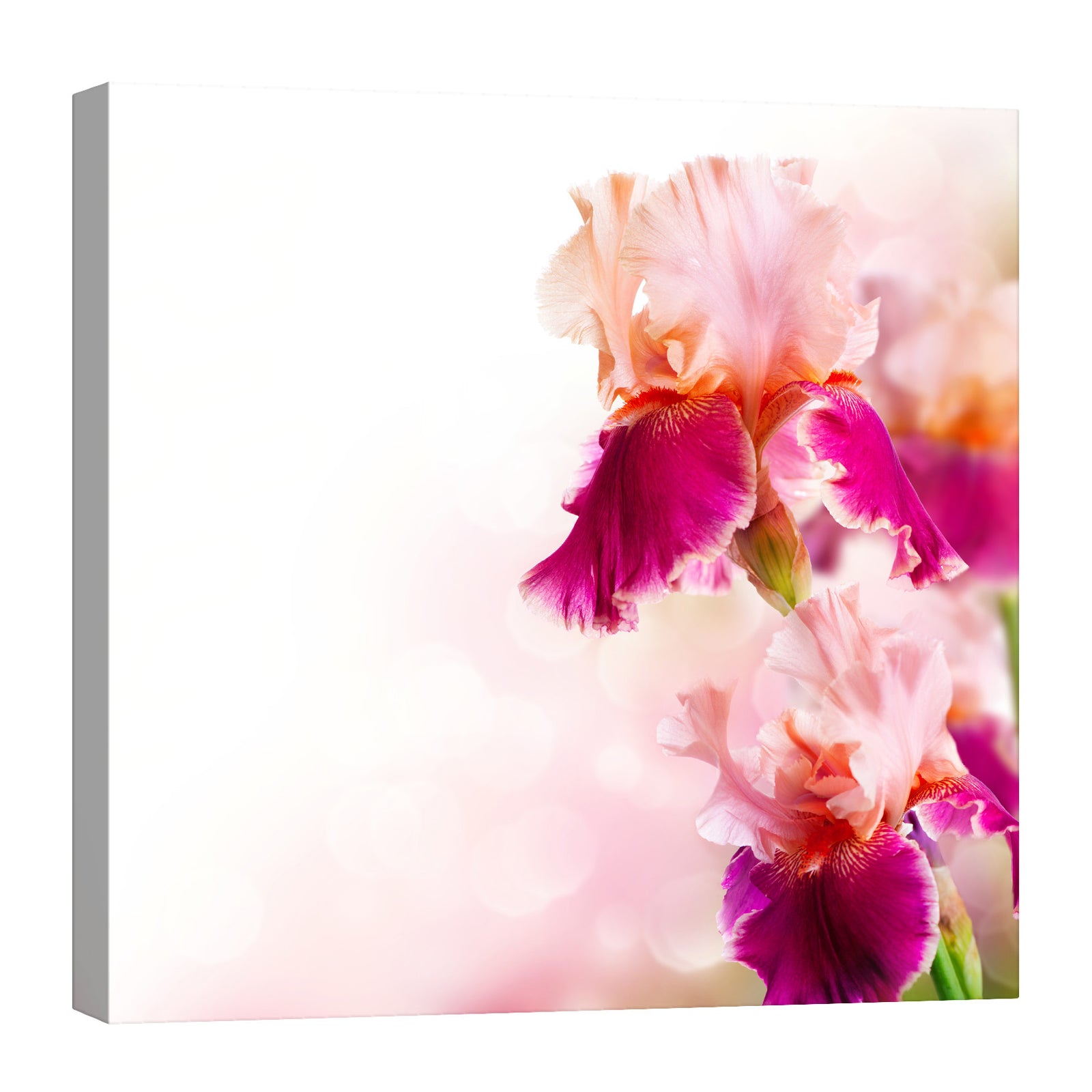 Flowers No. 044, by day