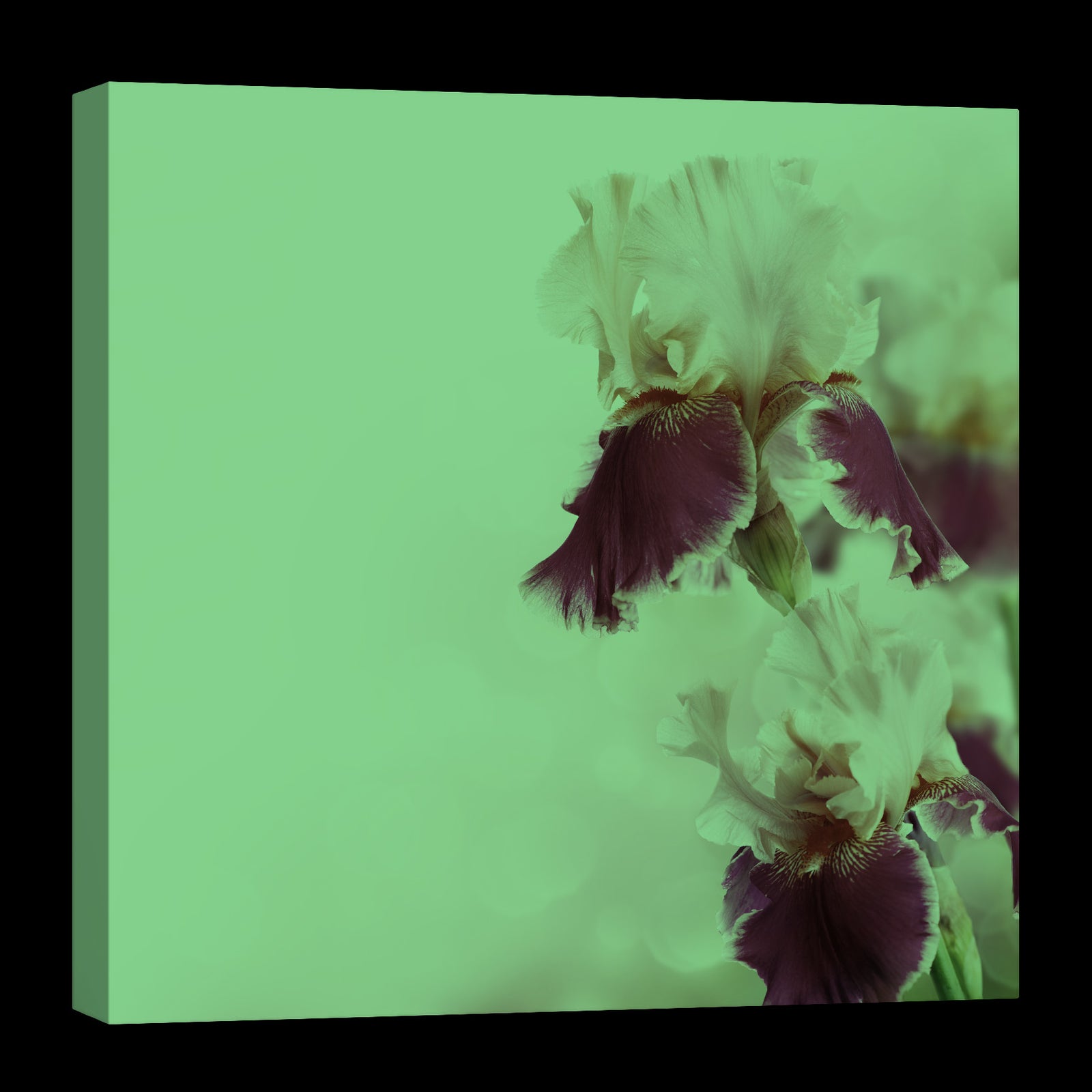 Flowers No. 044, glowing at night