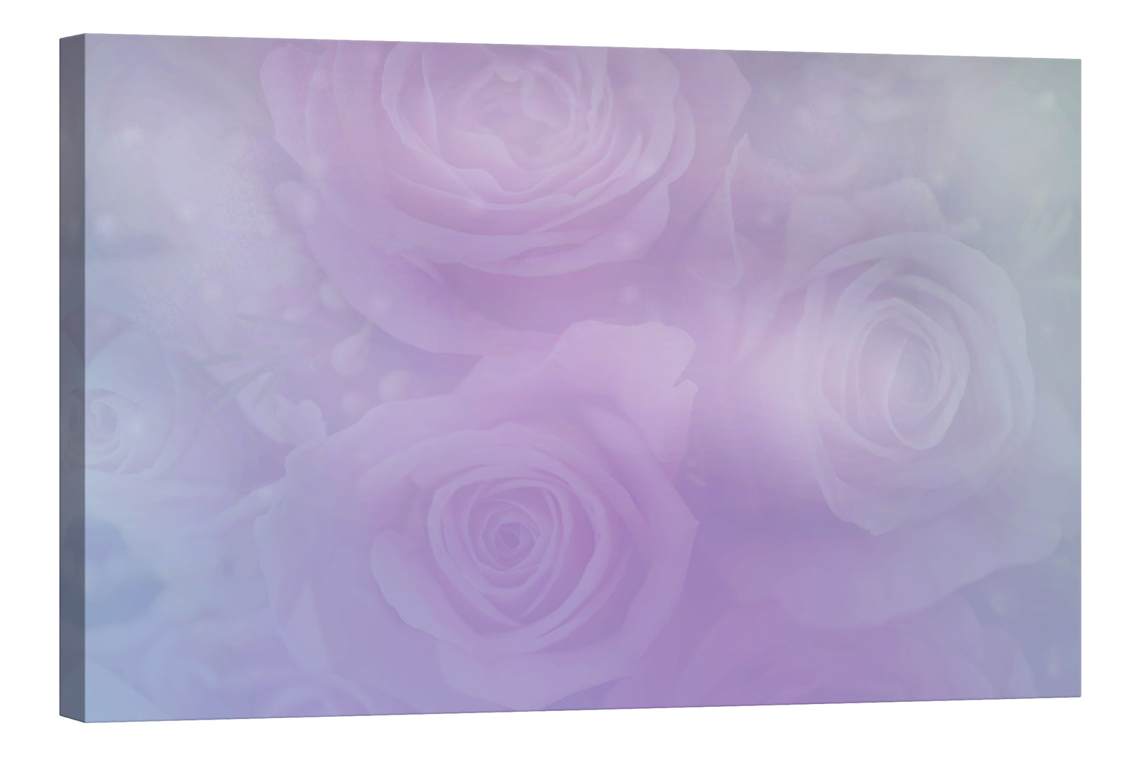 Flowers No. 047, by day