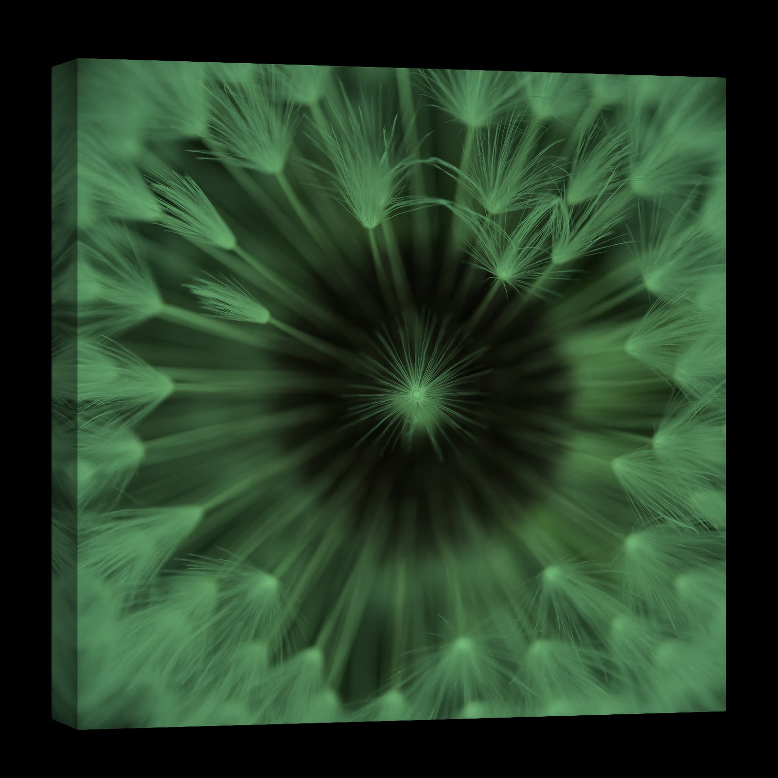 Flowers No. 048, glowing at night