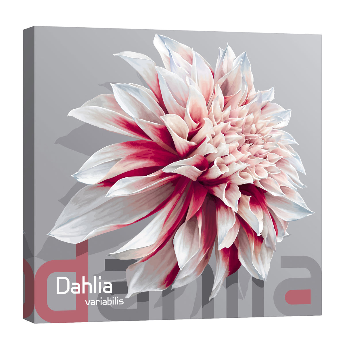 Flowers No. 057, by day