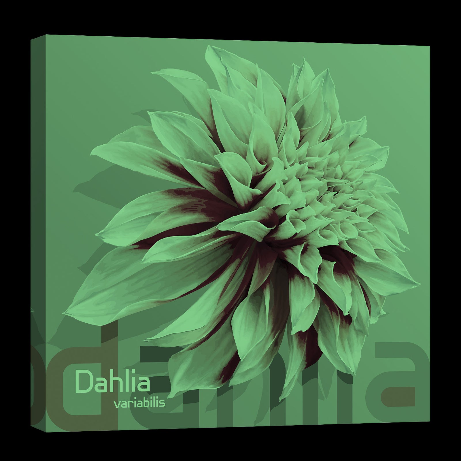 Flowers No. 057, glowing at night