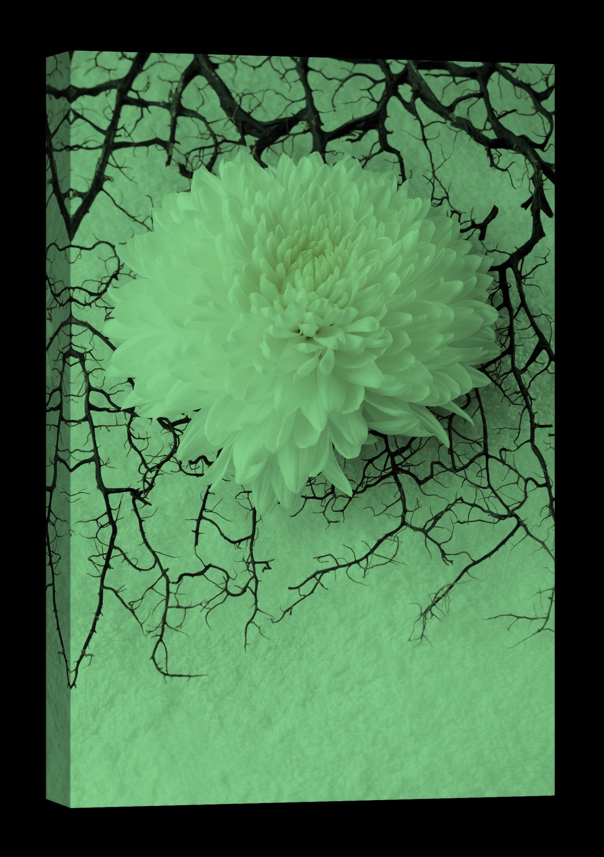 Flowers No. 060, glowing at night