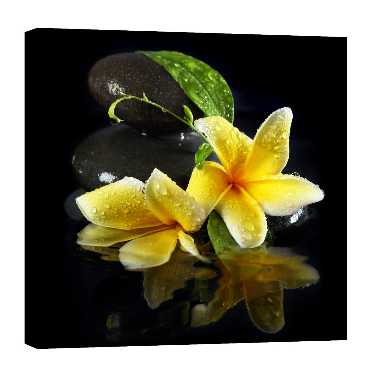 Flowers No. 073, by day