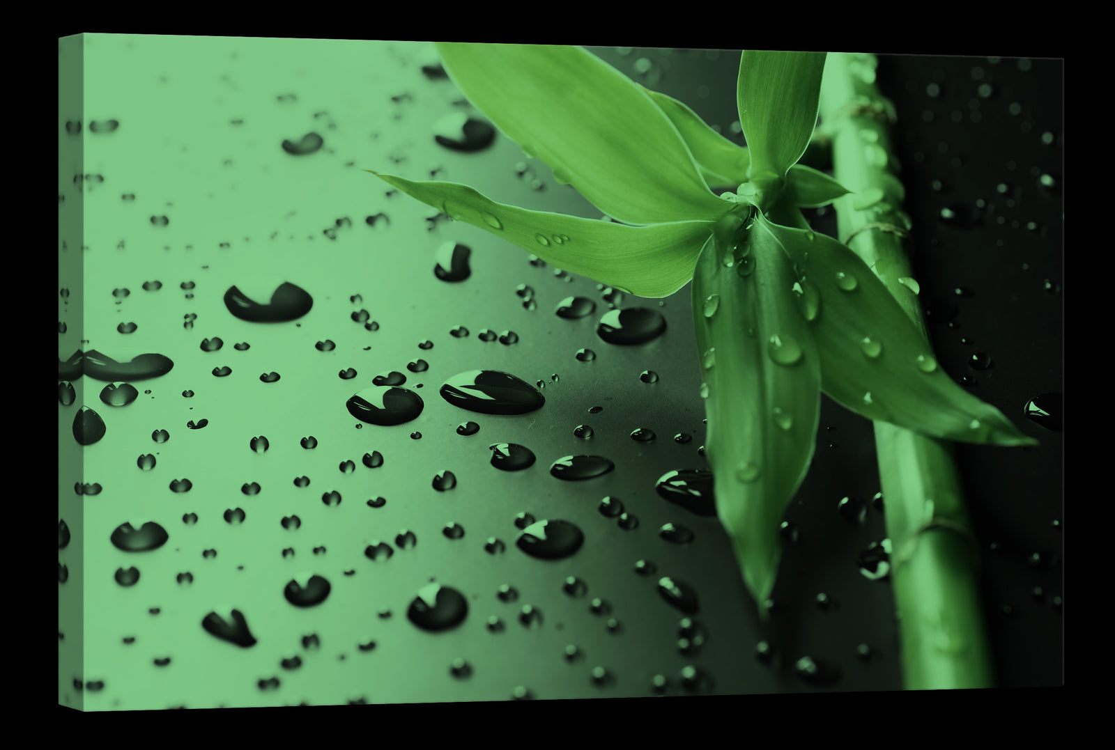 Flowers No. 082, glowing at night
