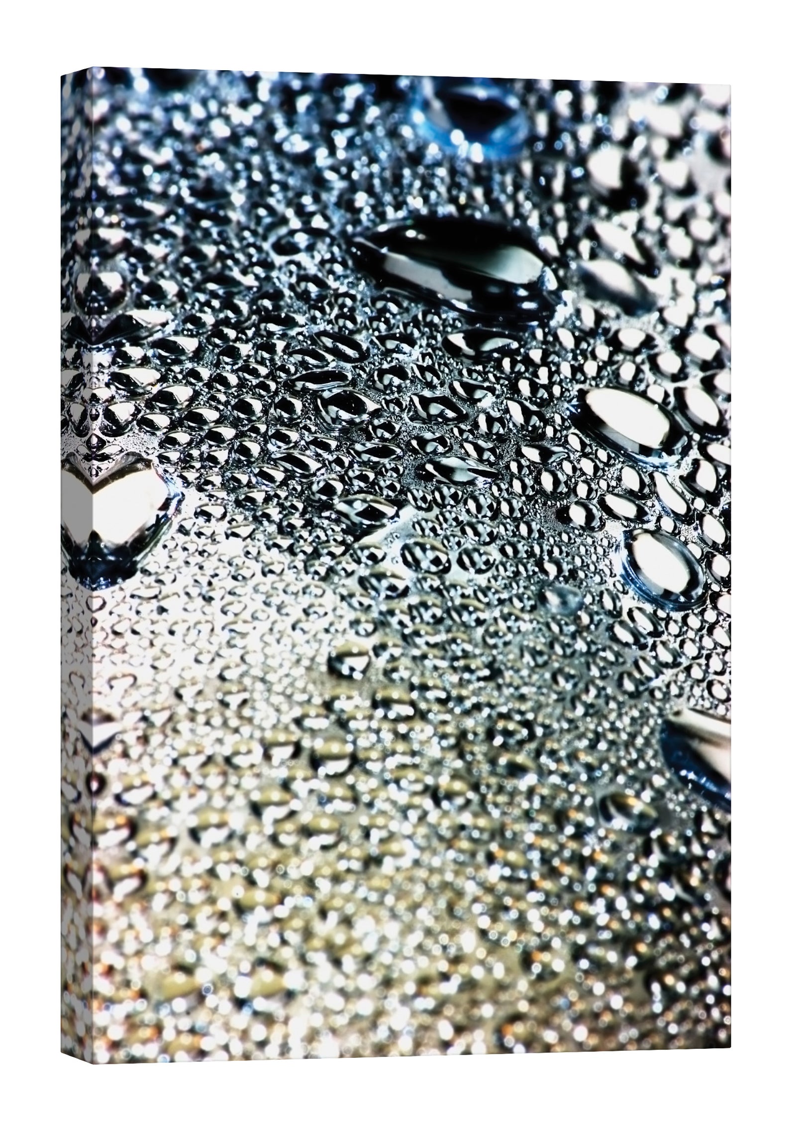 Abstract No. 008, by day