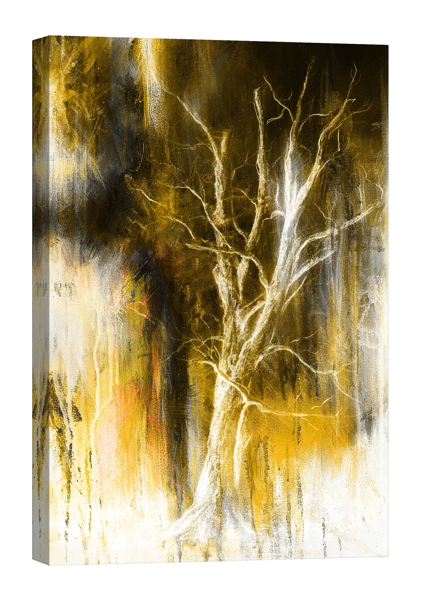Abstract No. 013, by day