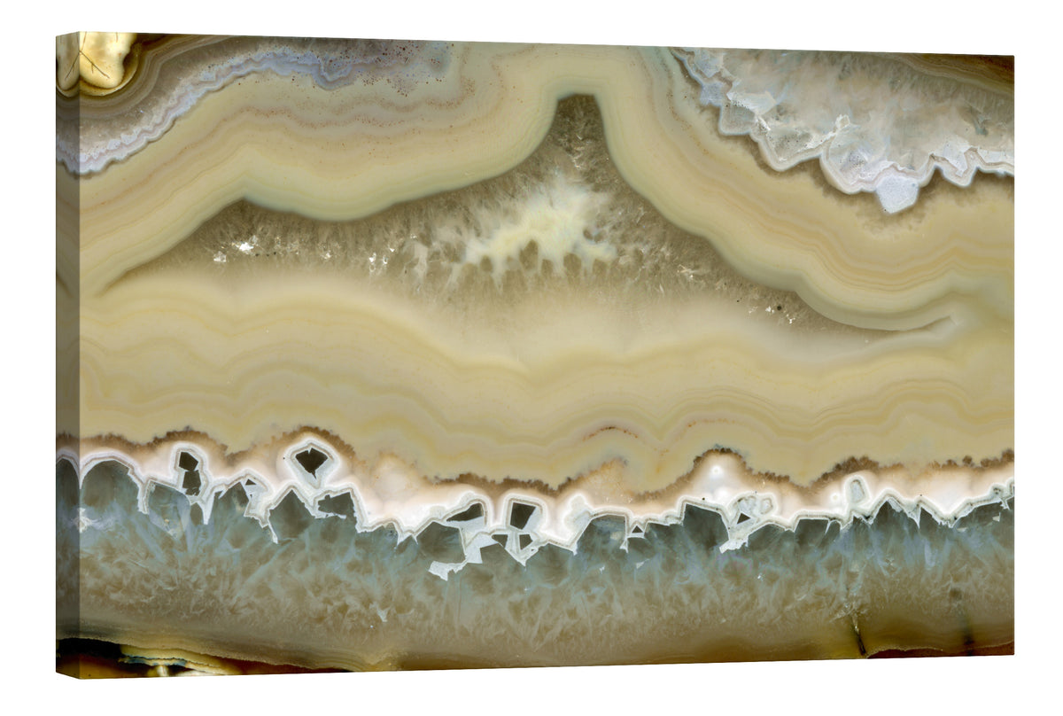 Abstract No. 031, by day