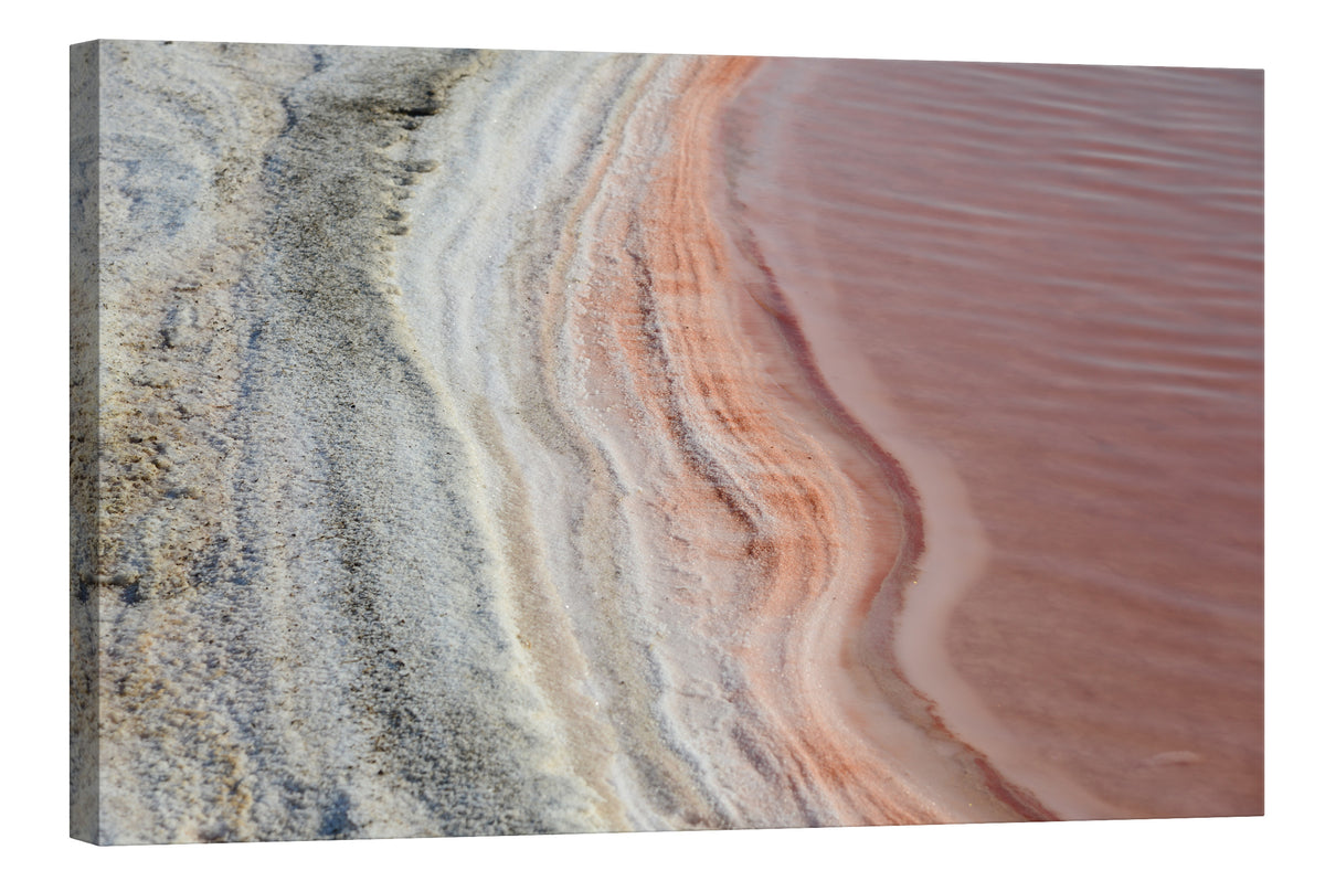 Abstract No. 080, by day