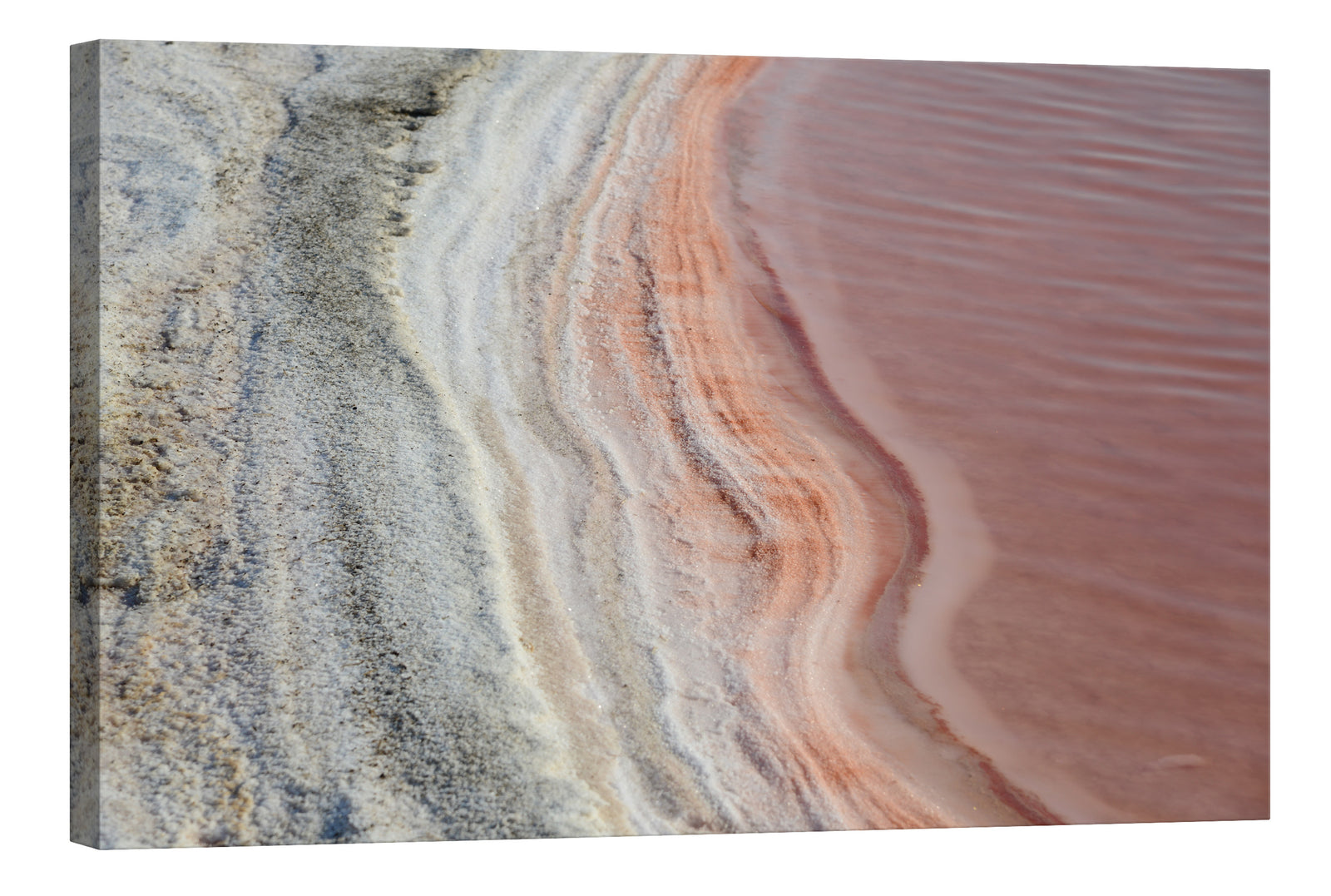 Abstract No. 080, by day