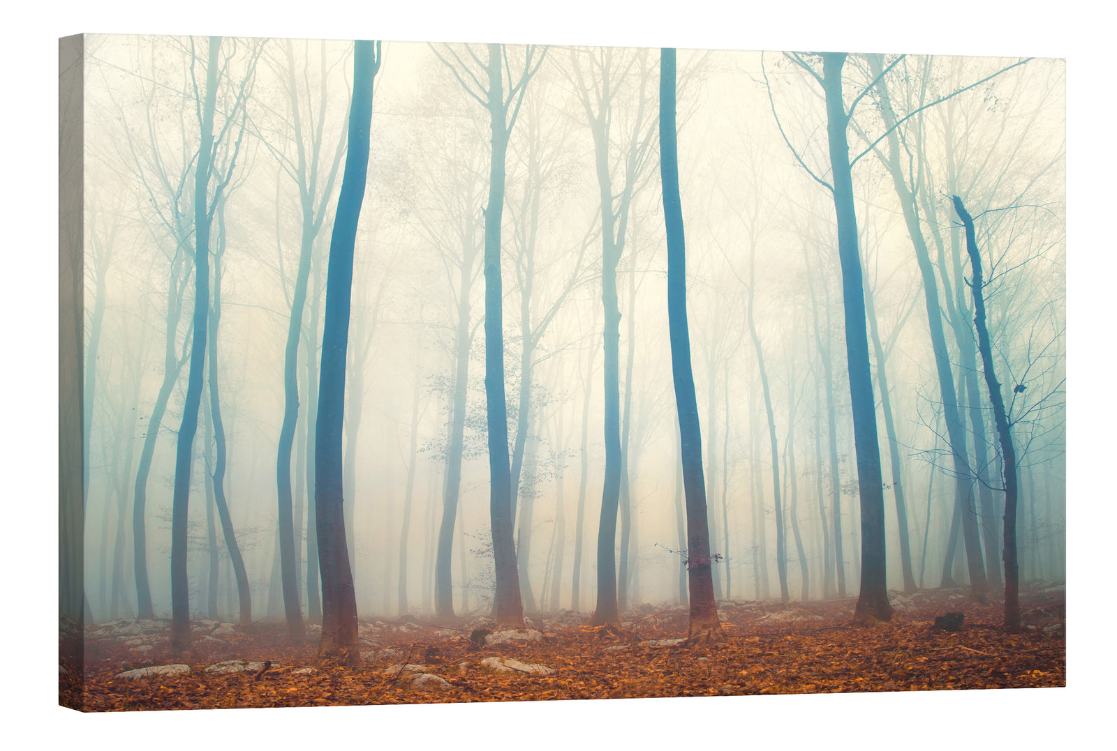 Landscapes No. 018, by day
