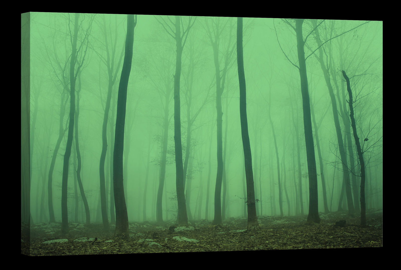 Landscapes No. 018, glowing at night