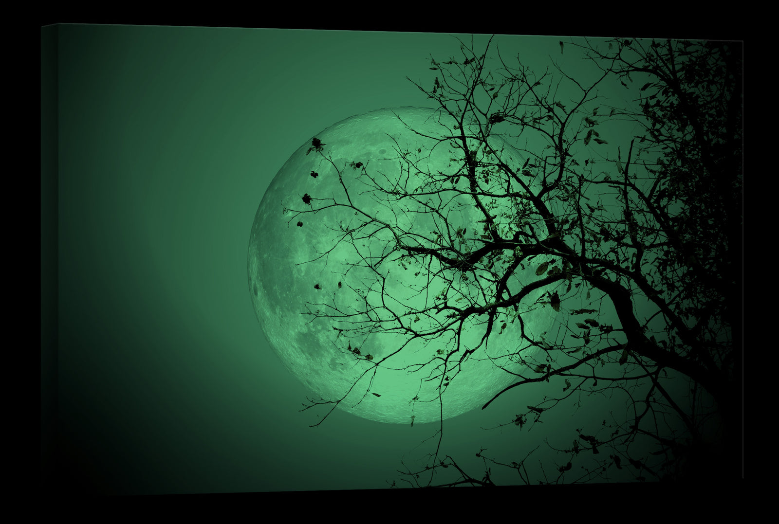 Landscapes No. 026, glowing at night