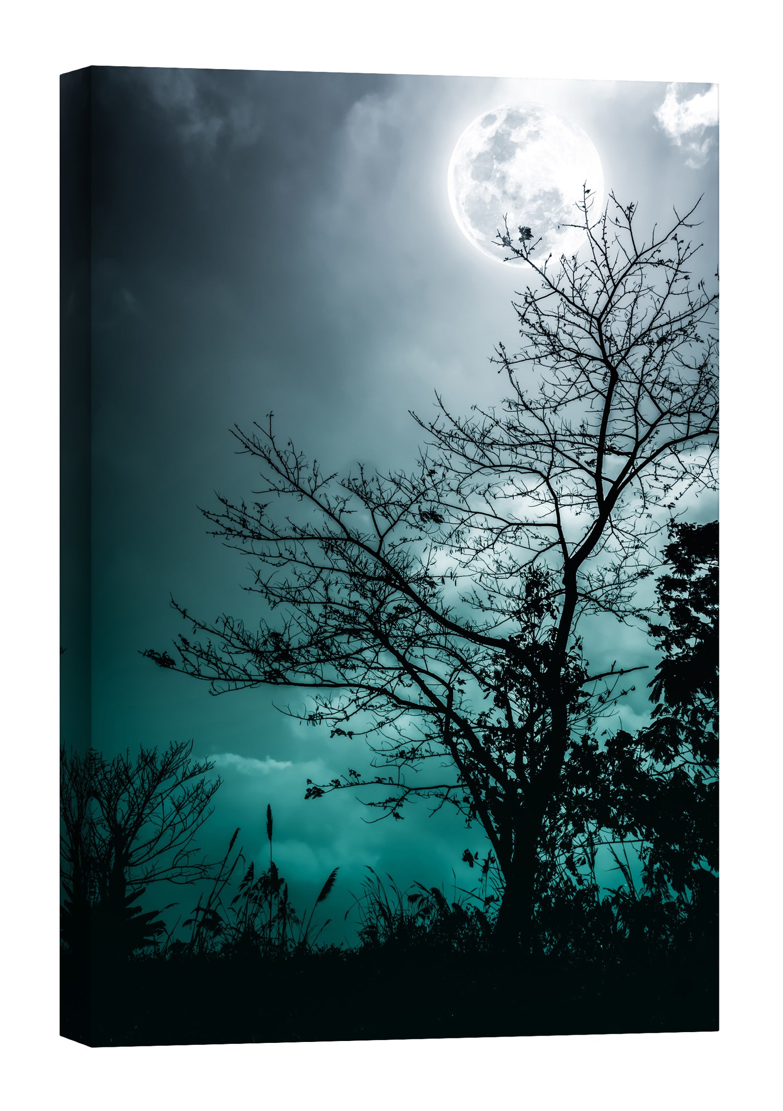 Landscapes No. 029, by day