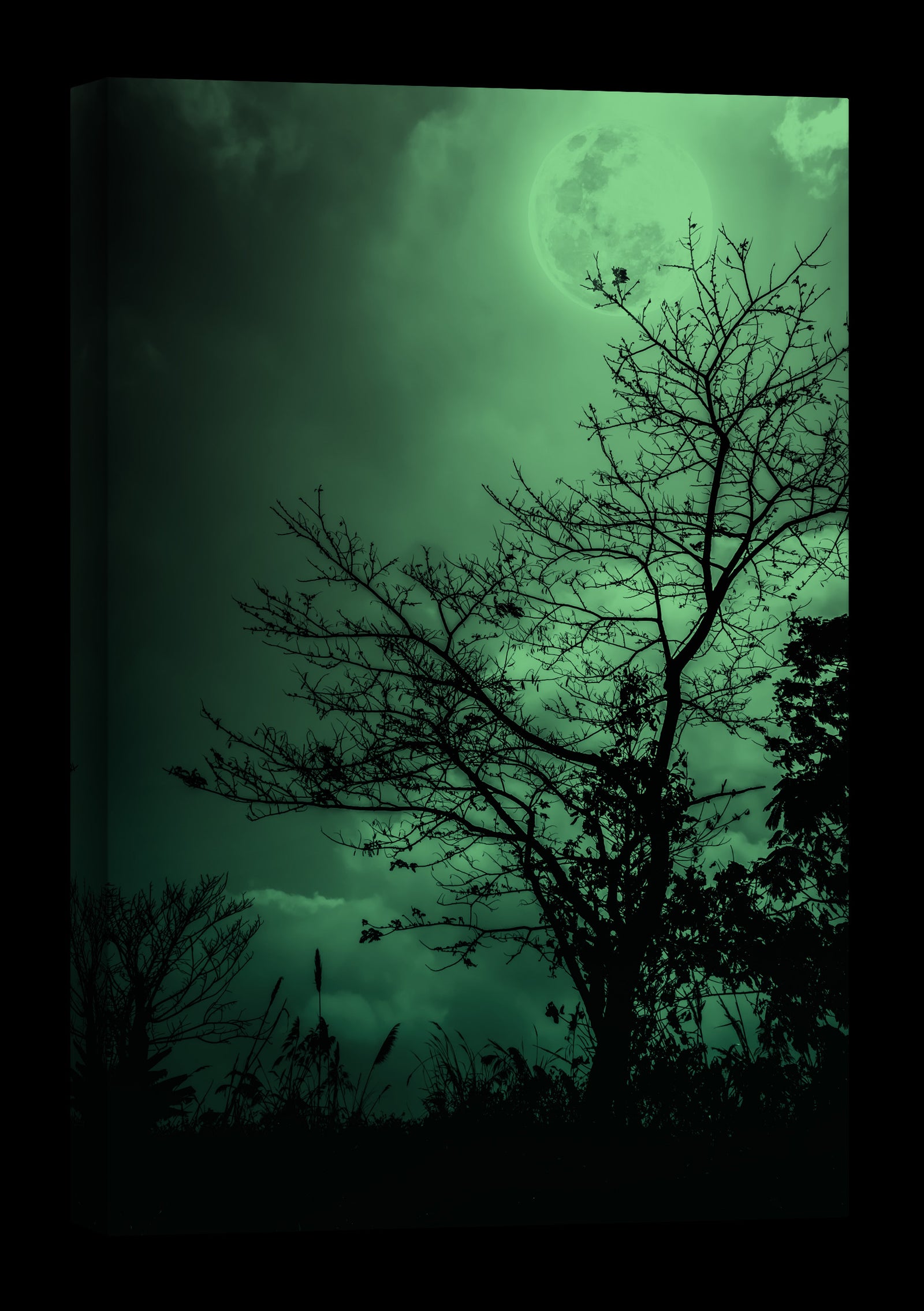 Landscapes No. 029, glowing at night