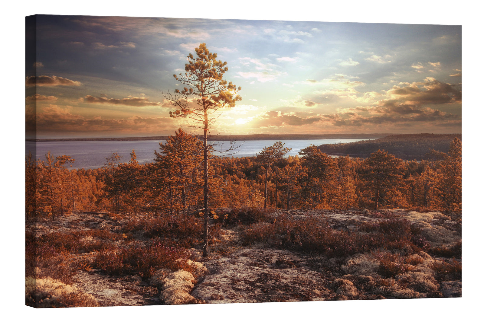 Landscapes No. 041, by day