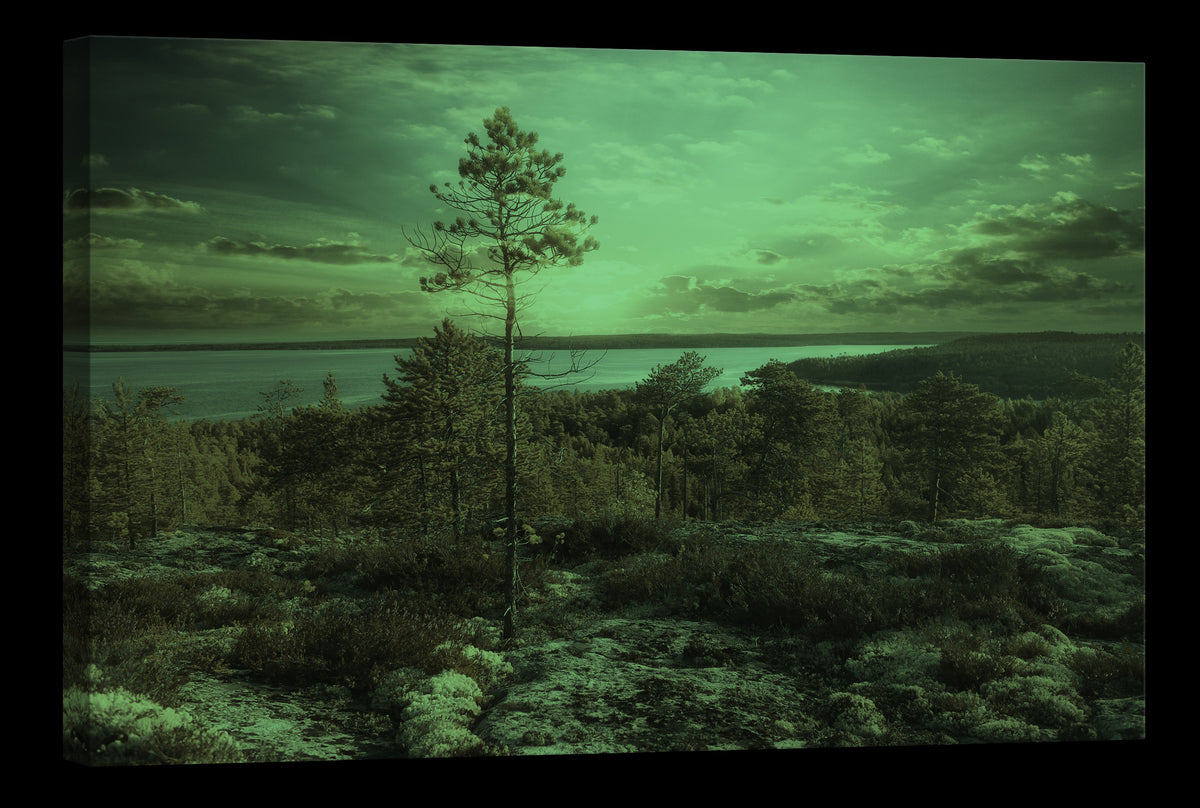 Landscapes No. 041, glowing at night