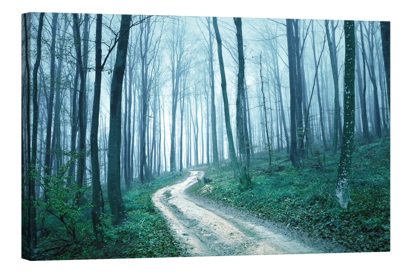 Landscapes No. 043, by day