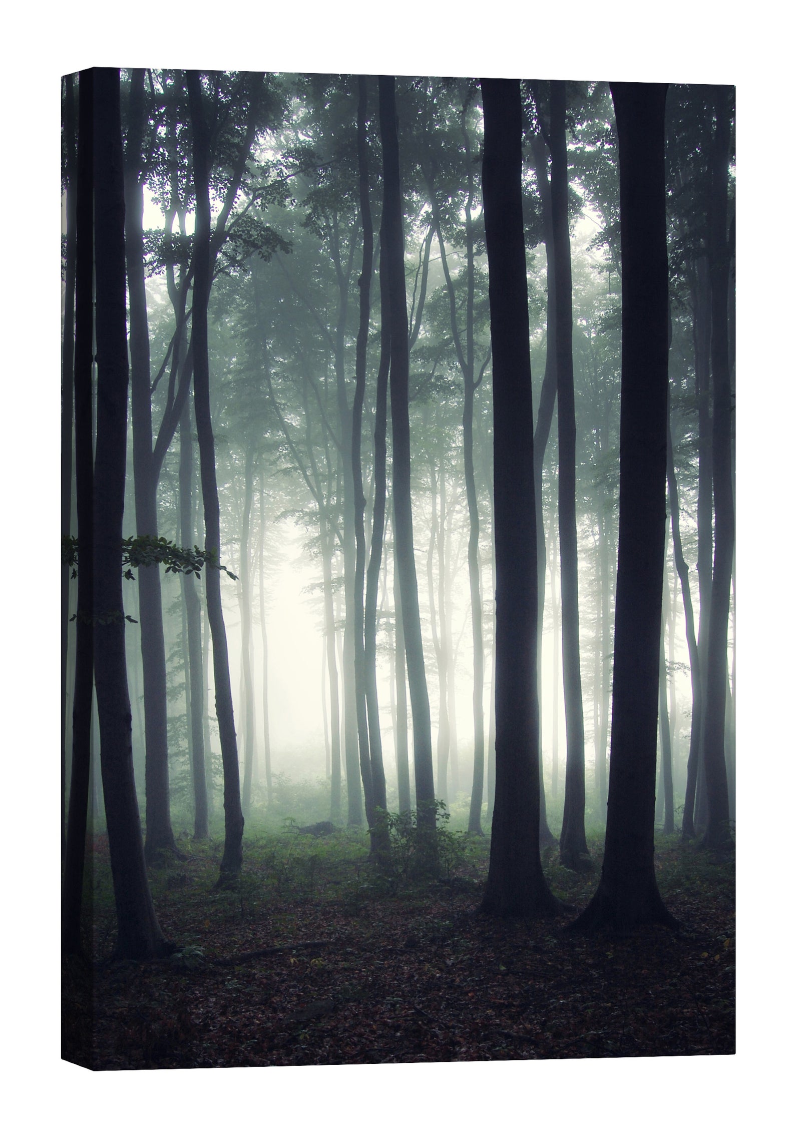 Landscapes No. 076, by day