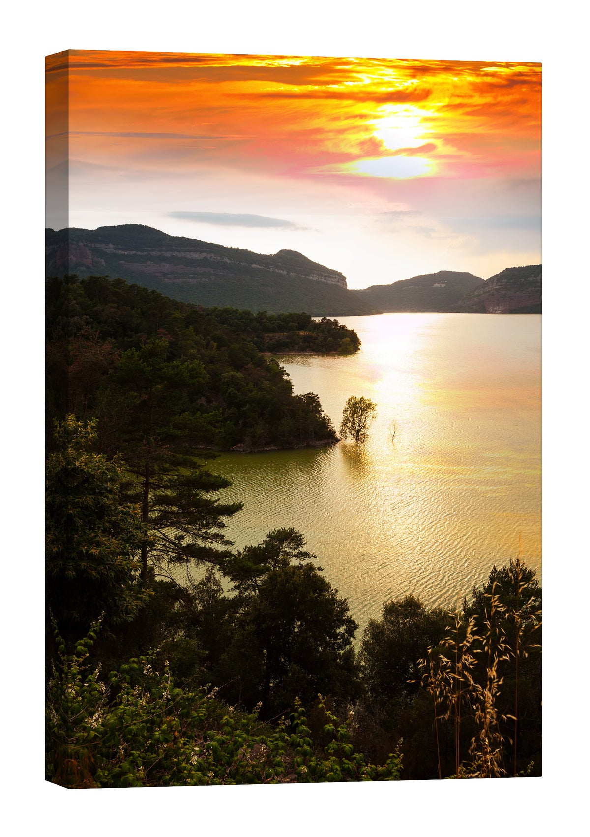 Landscapes No. 082, by day