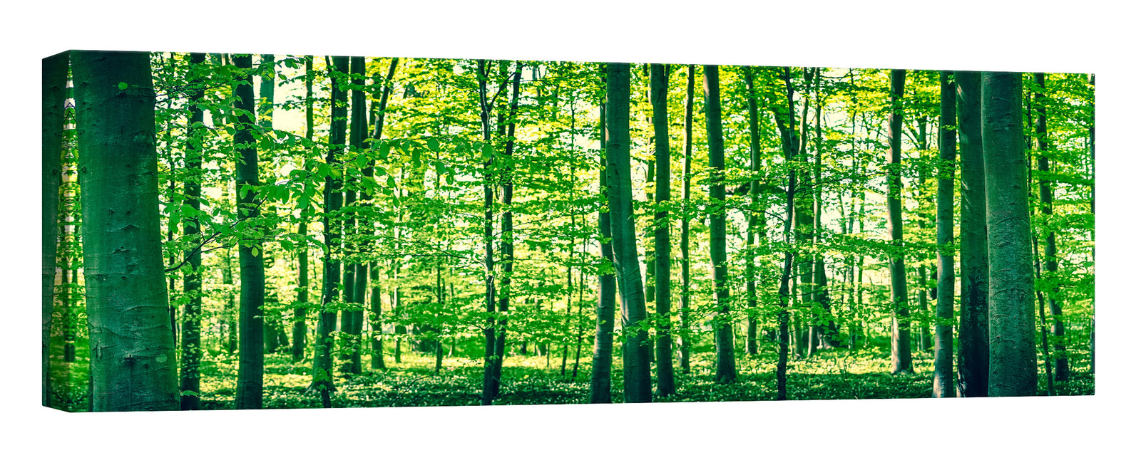 Landscapes No. 100, by day